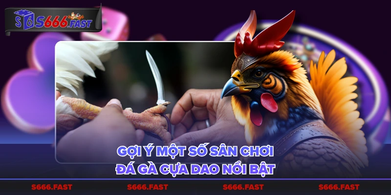 Gợi ý một số sân chơi đá gà cựa dao nổi bật